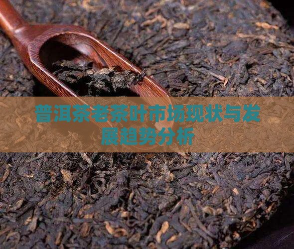普洱茶老茶叶市场现状与发展趋势分析