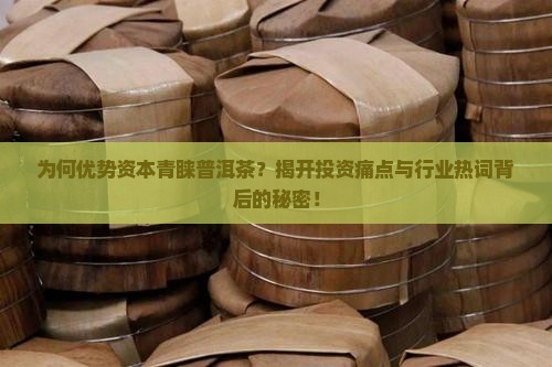 为何优势资本青睐普洱茶？揭开投资痛点与行业热词背后的秘密！
