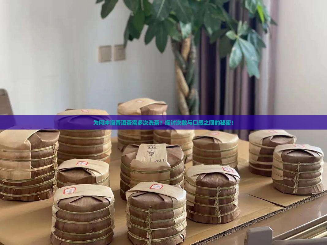 为何冲泡普洱茶需多次洗茶？探讨次数与口感之间的秘密！