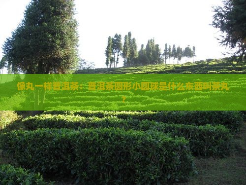 像丸一样普洱茶：普洱茶圆形小圆球是什么东西叫茶丸？