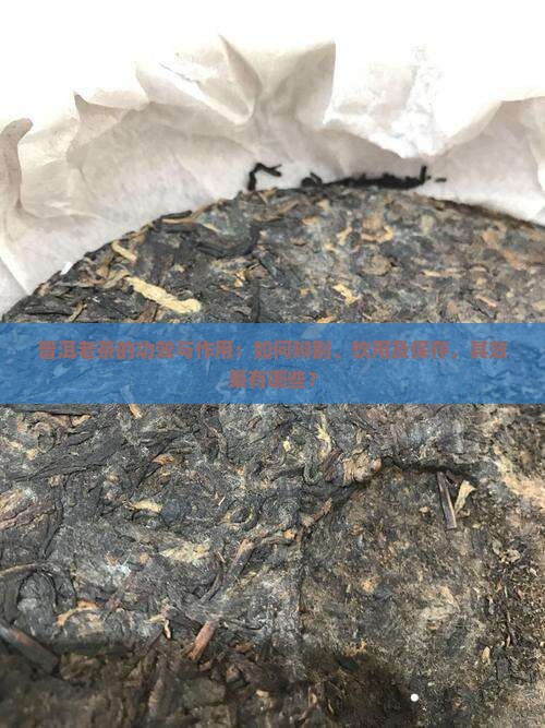 普洱老茶的功效与作用：如何辨别、饮用及保存，其效果有哪些？