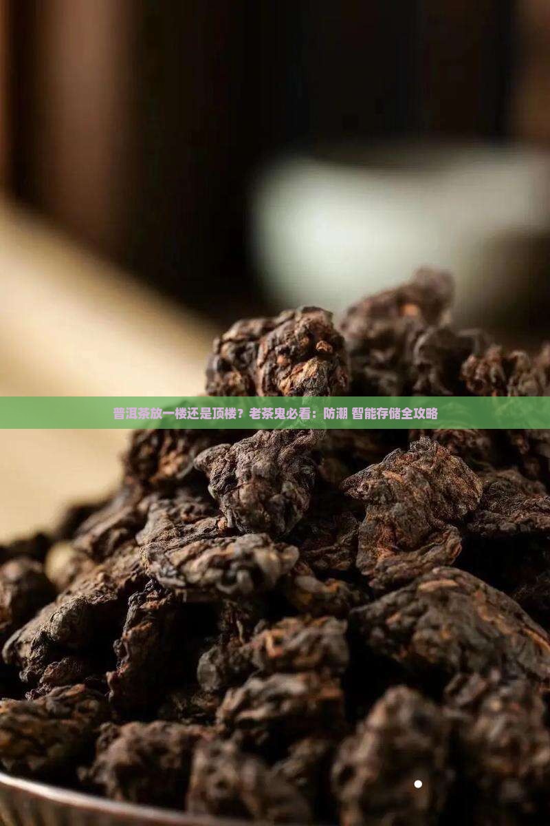 普洱茶放一楼还是顶楼？老茶鬼必看：防潮+智能存储全攻略