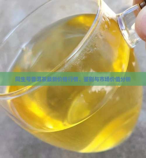 同生号普洱茶最新价格行情、鉴别与市场价值分析