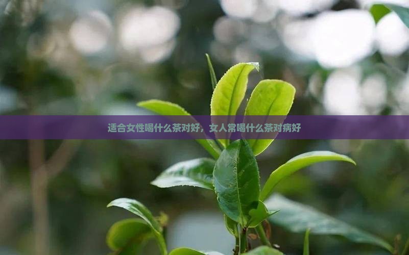 适合女性喝什么茶对好，女人常喝什么茶对病好