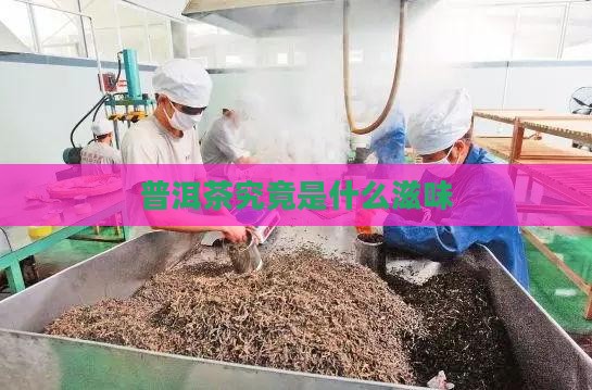 普洱茶究竟是什么滋味