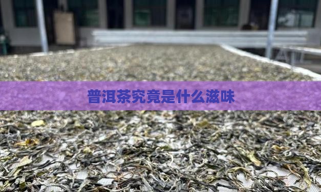 普洱茶究竟是什么滋味