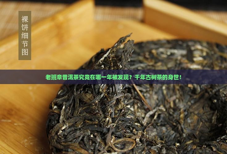 老班章普洱茶究竟在哪一年被发现？千年古树茶的身世！