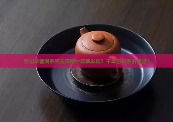 老班章普洱茶究竟在哪一年被发现？千年古树茶的身世！