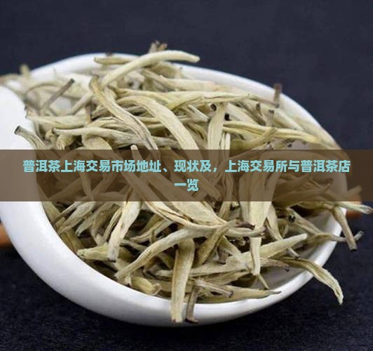 普洱茶上海交易市场地址、现状及，上海交易所与普洱茶店一览