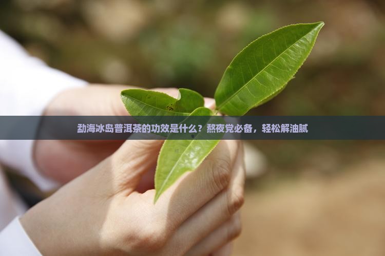勐海冰岛普洱茶的功效是什么？熬夜党必备，轻松解油腻