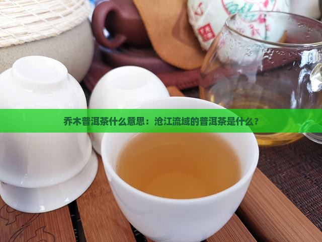 乔木普洱茶什么意思