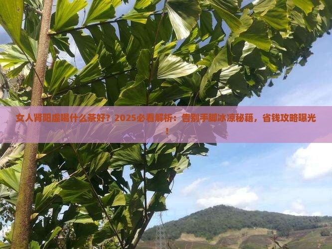 女人肾阳虚喝什么茶好
