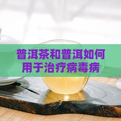 怎么用普洱茶治病毒病