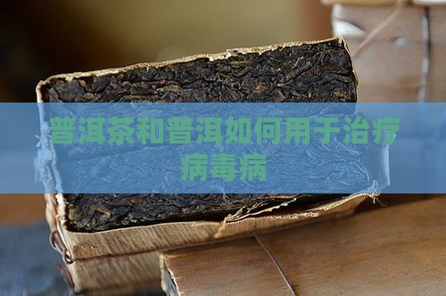 怎么用普洱茶治病毒病