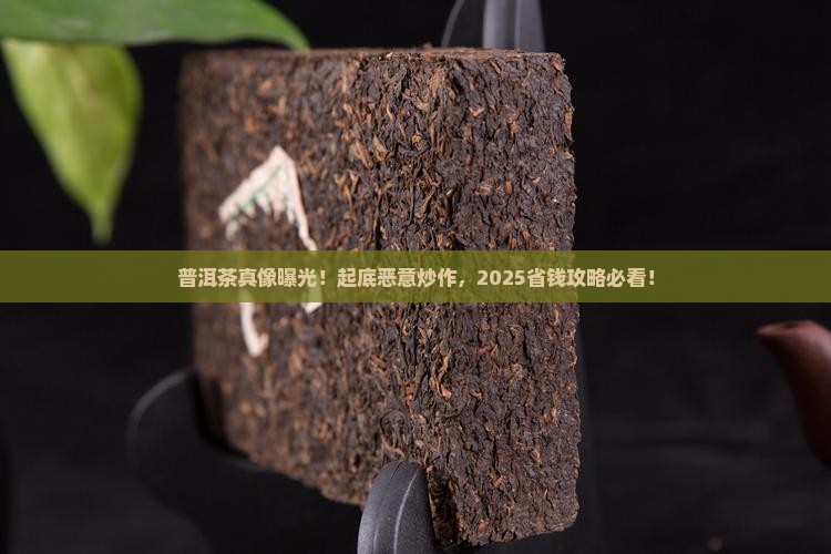 普洱茶恶意炒作