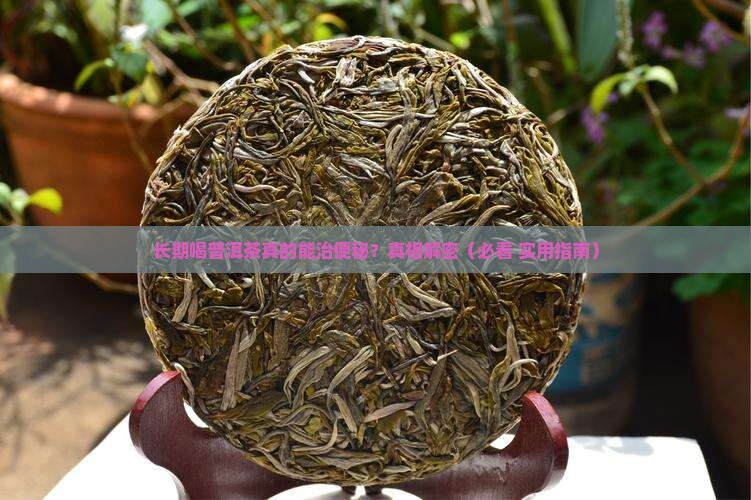 长期喝普洱茶能治便秘吗