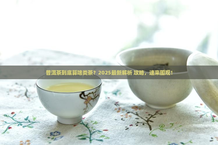 普洱茶算什么类茶