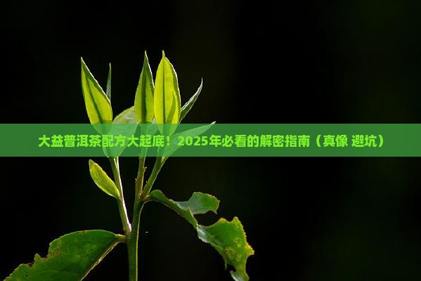 大益普洱茶有哪几年的配方