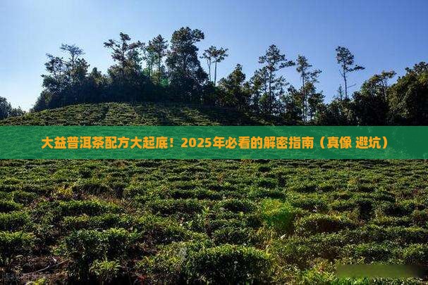 大益普洱茶有哪几年的配方