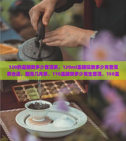 120的盖碗放多少普洱茶