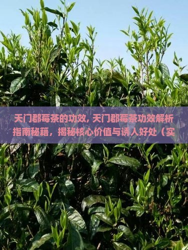 天门郡莓茶的功效