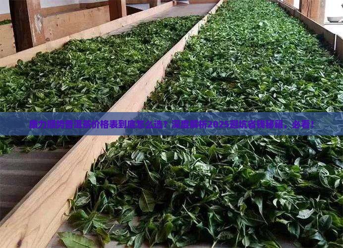 康力顺势普洱茶价格表