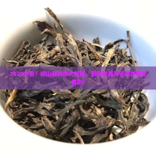 崂山茶的介绍崂山野茶