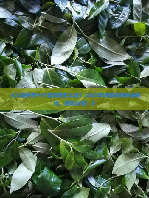 大益熟茶901普洱茶