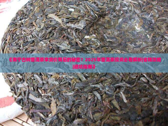 南宁古树普洱茶拿货价