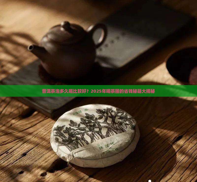 普洱茶泡多久喝比较好
