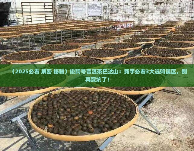 俊聘号普洱茶巴达山