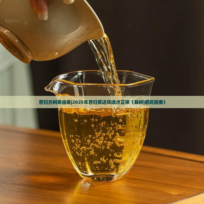 昔归古树茶由来