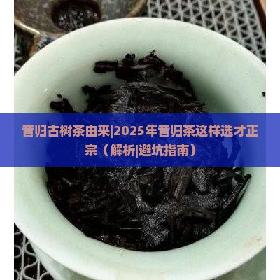昔归古树茶由来