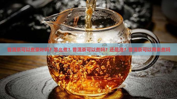 普洱茶可以煮茶叶吗
