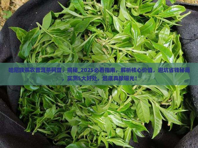 哈尼族茶农普洱茶阿度