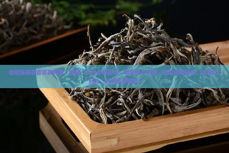 哈尼族茶农普洱茶阿度