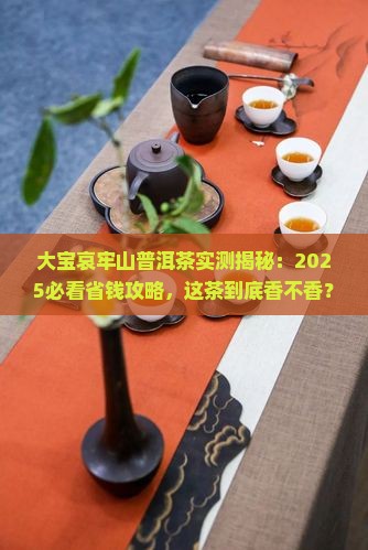 大宝哀牢山普洱茶
