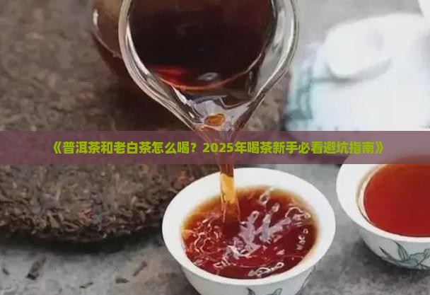 普洱茶老白茶怎么喝