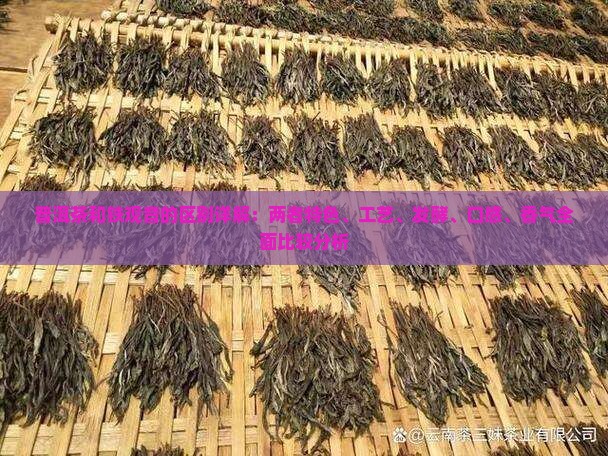 普洱茶和铁观音的区别