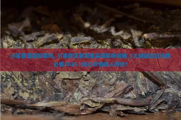 小寒普洱茶好喝吗