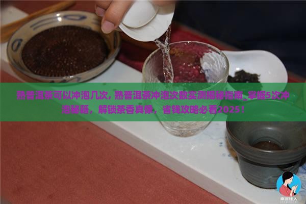 熟普洱茶可以冲泡几次