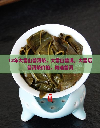 12年大雪山普洱茶