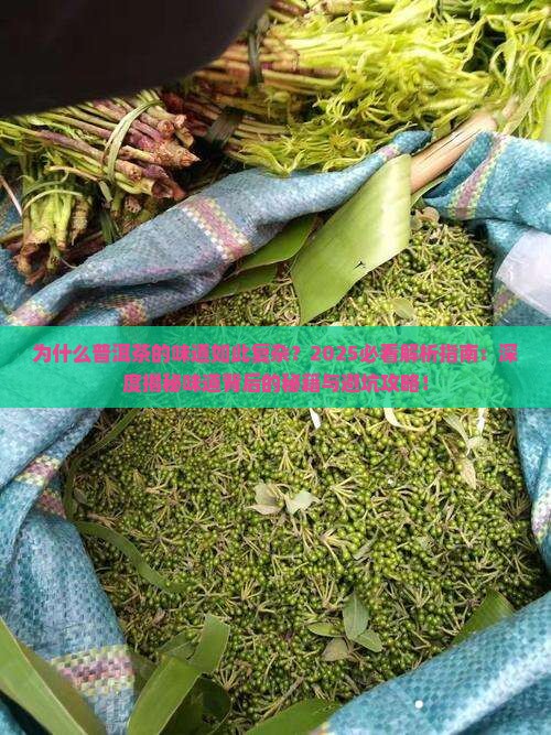 普洱茶的味道分析