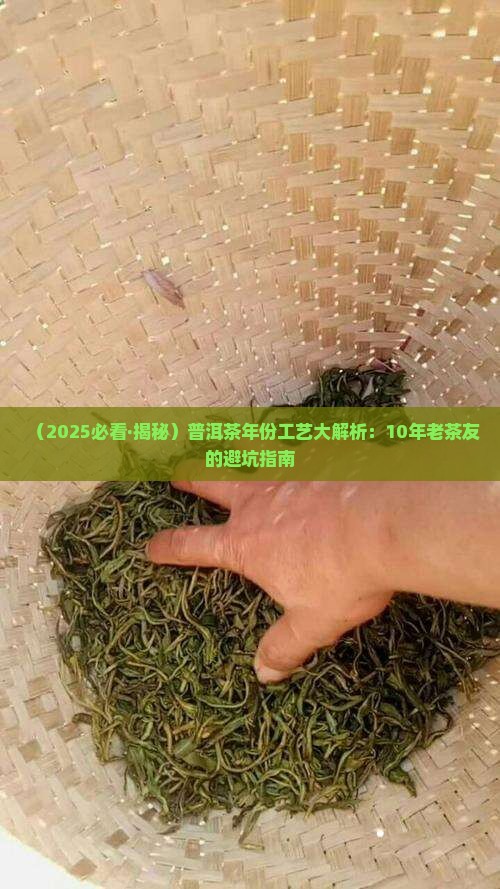 普洱茶年份工艺