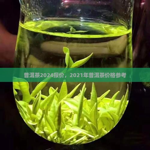 普洱茶2024报价