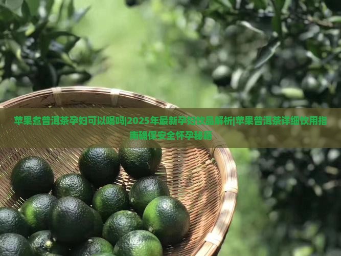 苹果煮普洱茶孕妇可以喝吗