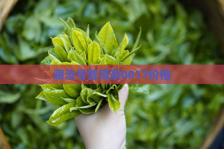 澜沧号普洱茶0017价格