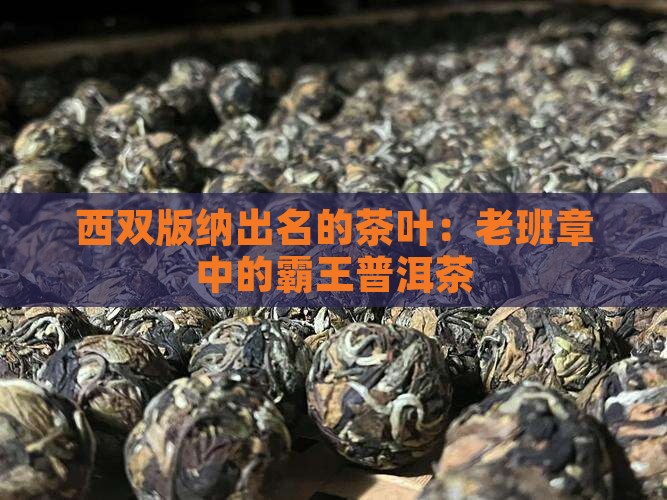 西双版纳出名的茶叶