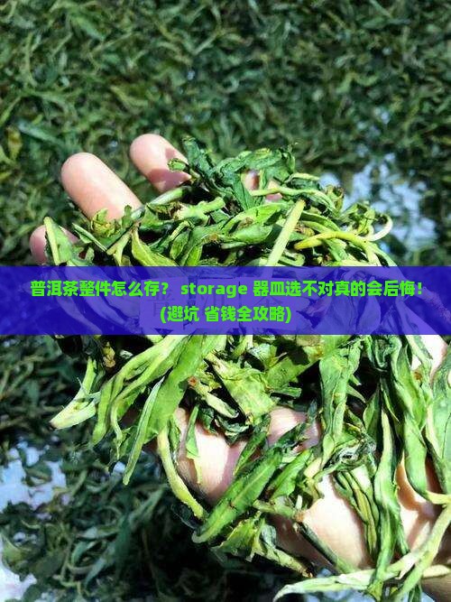 普洱茶整件储存器皿