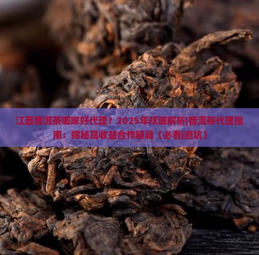 江西普洱茶哪家好代理